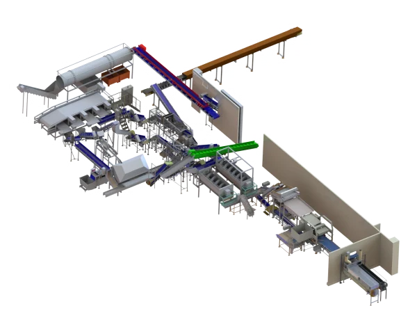 Ligne de lavage calibrage ébouttage tronçonnage pelage triage des légumes